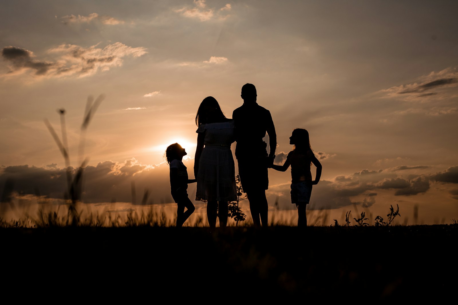Family of four silhouetted against a sunset, holding hands in a field